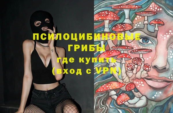амф Алексин