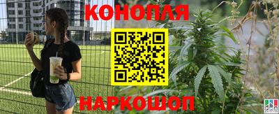 PSILOCYBIN Усть-Илимск