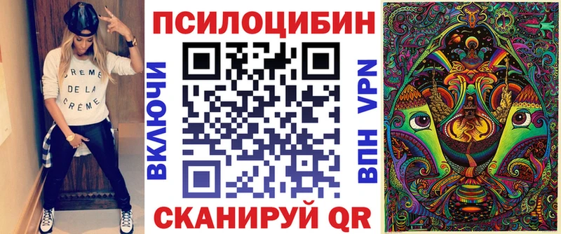 Галлюциногенные грибы Psilocybine cubensis  Тулун 