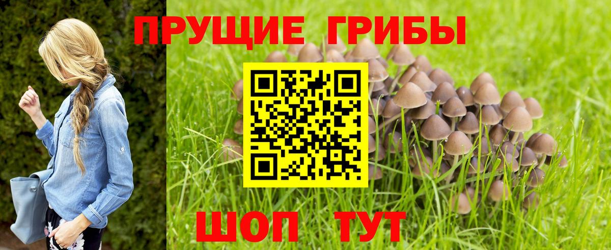 Псилоцибиновые грибы прущие грибы  Вход с VPN  Псилоцибиновые грибы ЛСД  Тулун 